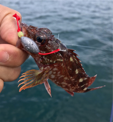 シーズンラストに来ました!