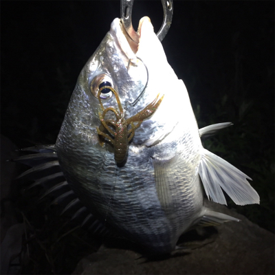 淀川ブリームゲーム つ抜け