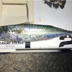 30センチupゲット