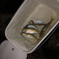 東からの爆風に耐えて