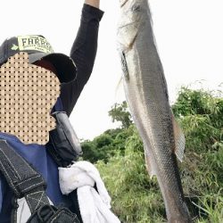 久々のいいサイズ