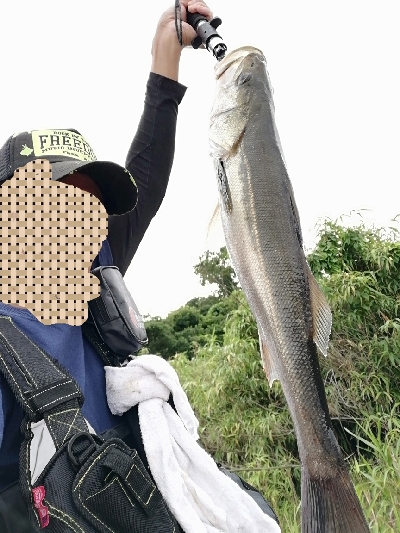 久々のいいサイズ