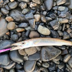 サイズが落ちてきたチニング