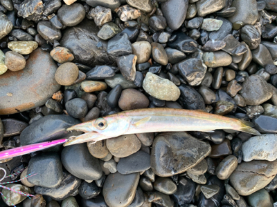 サイズが落ちてきたチニング