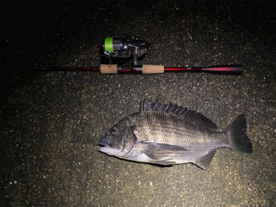 チニング からのシーバス