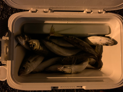 意外とクオリティが高い場所?!