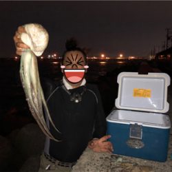 タコ調査9! まだまだよく釣れます!