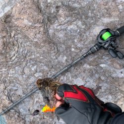 地磯ロック釣行