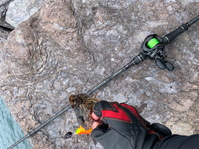 地磯ロック釣行