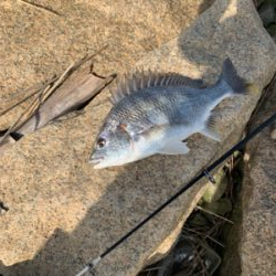 昼から夕方まで