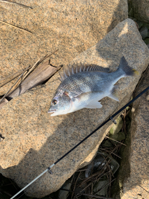 昼から夕方まで