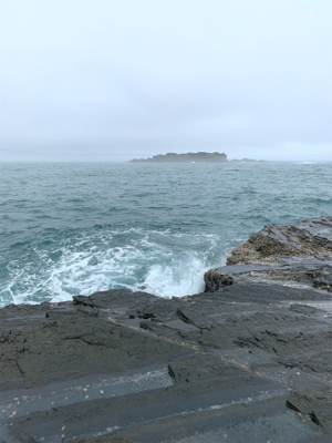 厳しい中なんとか小さい2杯