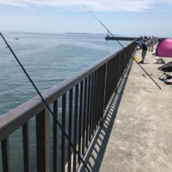 キスを求めて吉良サンライズパーク‼️