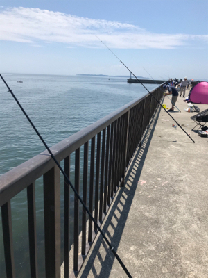 キスを求めて吉良サンライズパーク‼️