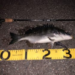 ナイトチニング