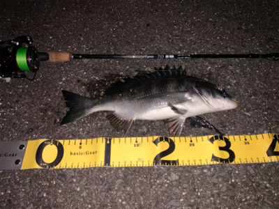 ナイトチニング