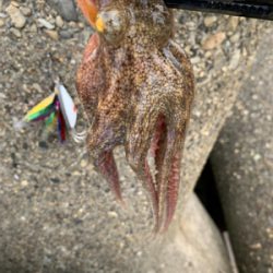 昨日よりマシかな?