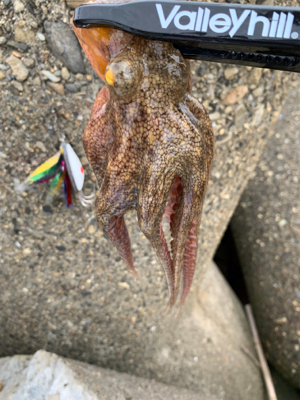 昨日よりマシかな?