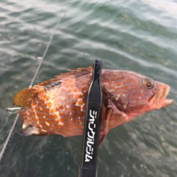 二ヶ月ぶりの釣り!