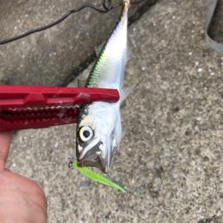 サバゲー楽しいですよ!