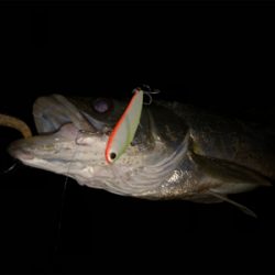 増水パターン!?