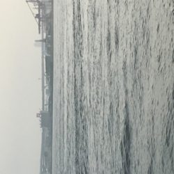 ツバス狙いで…