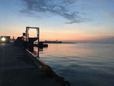 ウキ釣りでタチウオ