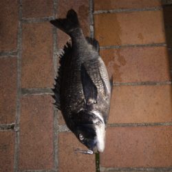 あとちょっとで年無し