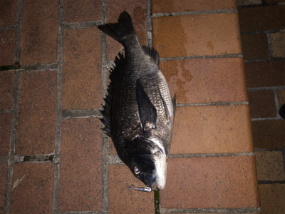 あとちょっとで年無し