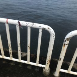 ジグサビキで^ ^