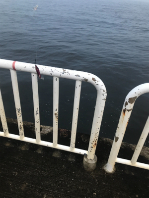 ジグサビキで^ ^