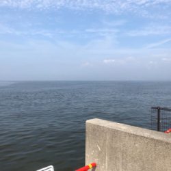 年無出た!しかし、タモ折れた!