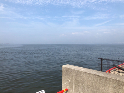 年無出た!しかし、タモ折れた!