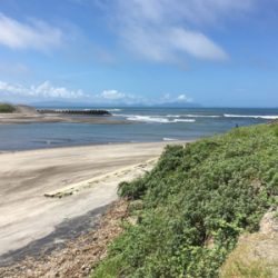 梅雨明けまだか？灼熱のマゴチ