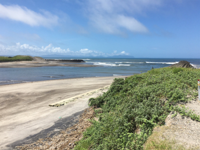 梅雨明けまだか？灼熱のマゴチ