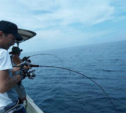 夏のジギング