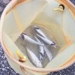 １時間チャレンジ！