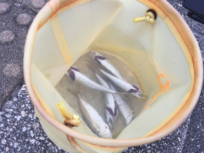 １時間チャレンジ！