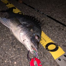 夕マズメチニング