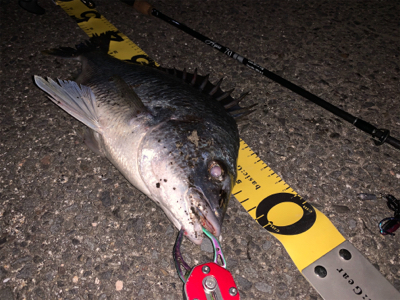 夕マズメチニング