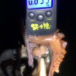 昨夜も仕事終わりに