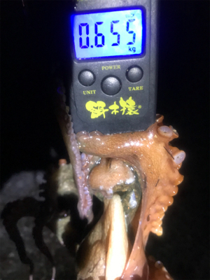 昨夜も仕事終わりに