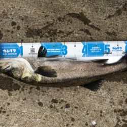 久々の釣りです❗️