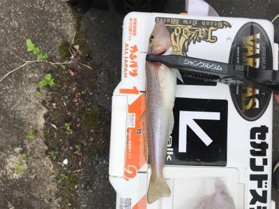 キスを求めて①