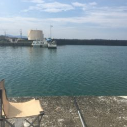 GO TO フィッシング!