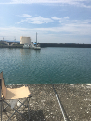 GO TO フィッシング!