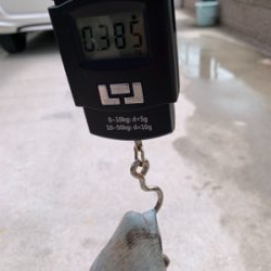 場所変更で正解!