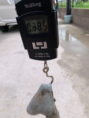 場所変更で正解!