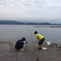 タチウオの気配無し