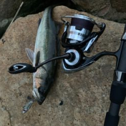 ダイソーバイブで…